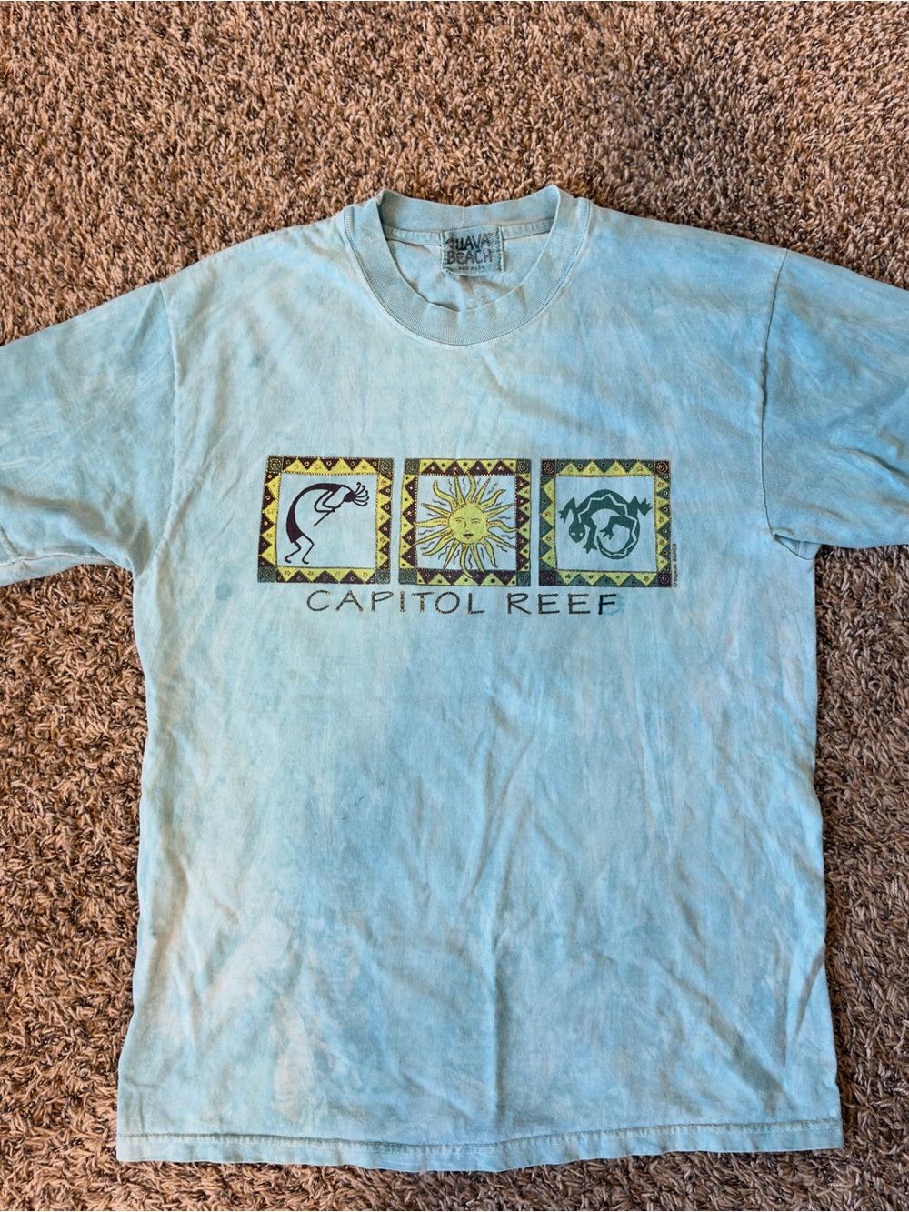 Vintage Guava Beach Capitol Reef Graphic Tee